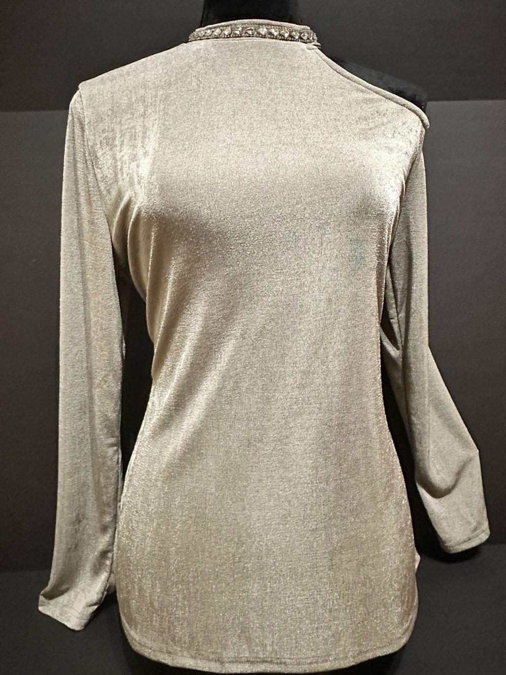 Shimmery Silver long sleeve top with bling neckline off the shoulder sleeve